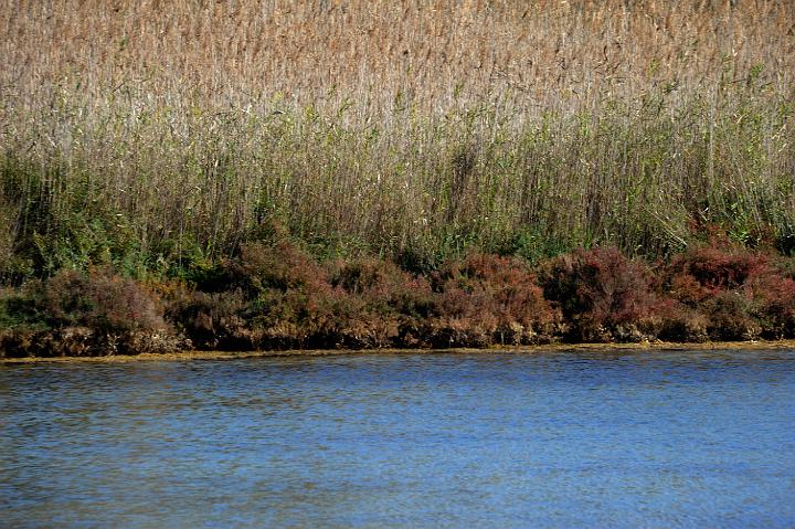 2Saline di Augusta 16.1.2011 (115).jpg